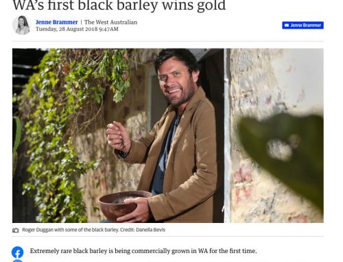 WA’S FIRST BLACK BARLEY WINS GOLD